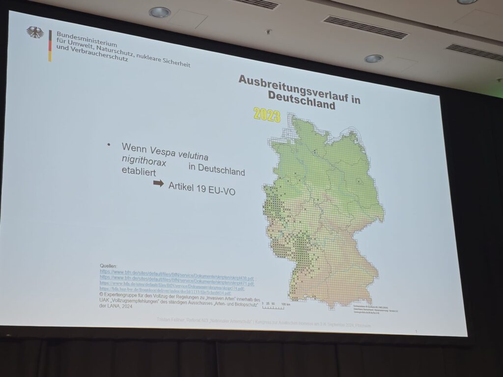 Verbreitung der Vespa velutina 2023